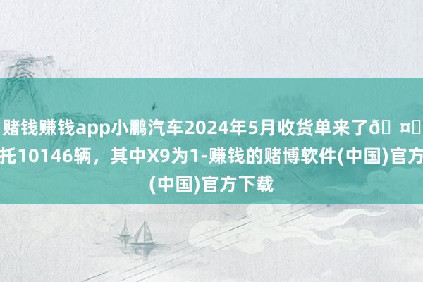 赌钱赚钱app小鹏汽车2024年5月收货单来了🤔共寄托10146辆，其中X9为1-赚钱的赌博软件(中国)官方下载