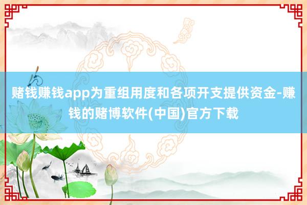 赌钱赚钱app为重组用度和各项开支提供资金-赚钱的赌博软件(中国)官方下载