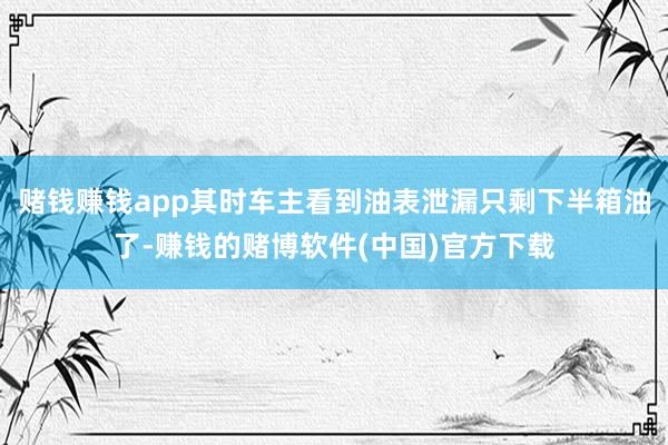 赌钱赚钱app其时车主看到油表泄漏只剩下半箱油了-赚钱的赌博软件(中国)官方下载