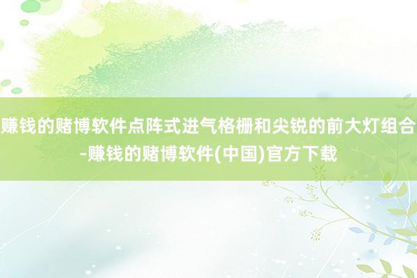 赚钱的赌博软件点阵式进气格栅和尖锐的前大灯组合-赚钱的赌博软件(中国)官方下载