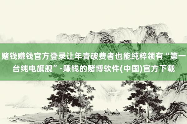 赌钱赚钱官方登录让年青破费者也能纯粹领有“第一台纯电旗舰”-赚钱的赌博软件(中国)官方下载