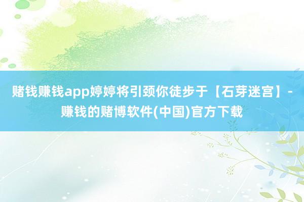 赌钱赚钱app婷婷将引颈你徒步于【石芽迷宫】-赚钱的赌博软件(中国)官方下载