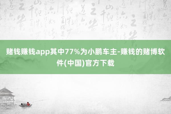 赌钱赚钱app其中77%为小鹏车主-赚钱的赌博软件(中国)官方下载