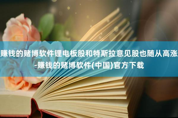 赚钱的赌博软件锂电板股和特斯拉意见股也随从高涨-赚钱的赌博软件(中国)官方下载