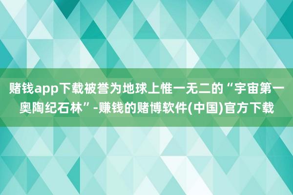 赌钱app下载被誉为地球上惟一无二的“宇宙第一奥陶纪石林”-赚钱的赌博软件(中国)官方下载