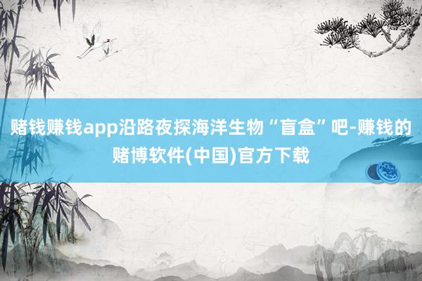 赌钱赚钱app沿路夜探海洋生物“盲盒”吧-赚钱的赌博软件(中国)官方下载