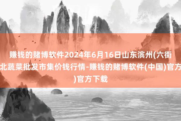 赚钱的赌博软件2024年6月16日山东滨州(六街）鲁北蔬菜批发市集价钱行情-赚钱的赌博软件(中国)官方下载