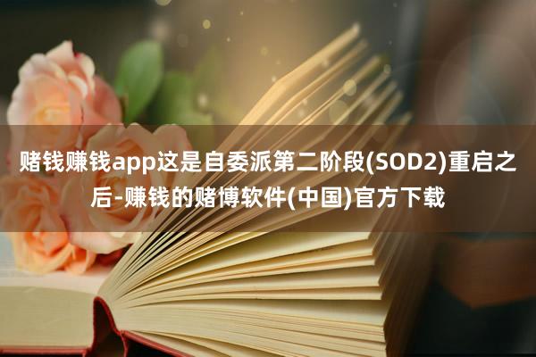 赌钱赚钱app这是自委派第二阶段(SOD2)重启之后-赚钱的赌博软件(中国)官方下载