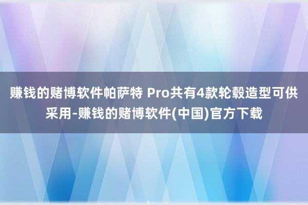 赚钱的赌博软件帕萨特 Pro共有4款轮毂造型可供采用-赚钱的赌博软件(中国)官方下载