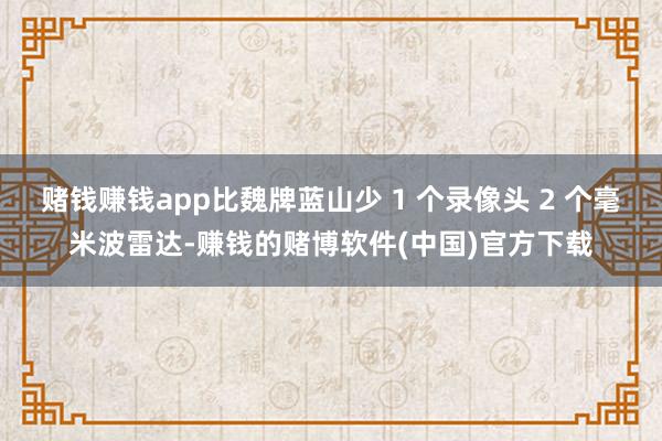 赌钱赚钱app比魏牌蓝山少 1 个录像头 2 个毫米波雷达-赚钱的赌博软件(中国)官方下载