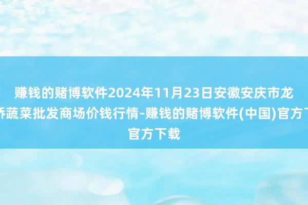 赚钱的赌博软件2024年11月23日安徽安庆市龙狮桥蔬菜批发商场价钱行情-赚钱的赌博软件(中国)官方下载