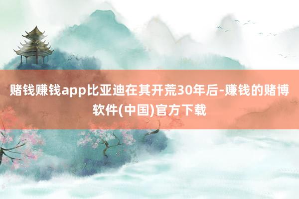 赌钱赚钱app比亚迪在其开荒30年后-赚钱的赌博软件(中国)官方下载