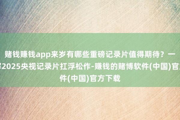 赌钱赚钱app来岁有哪些重磅记录片值得期待？一图了解2025央视记录片扛浮松作-赚钱的赌博软件(中国)官方下载