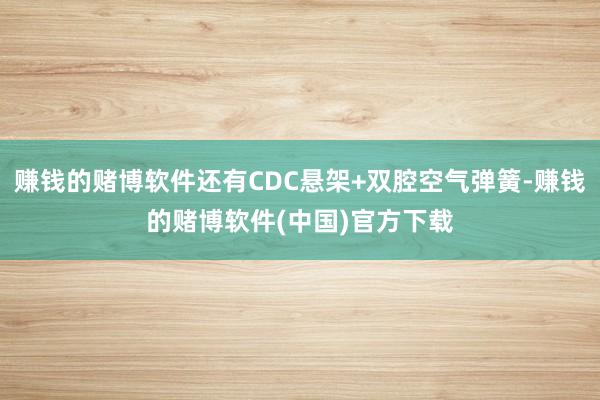 赚钱的赌博软件还有CDC悬架+双腔空气弹簧-赚钱的赌博软件(中国)官方下载